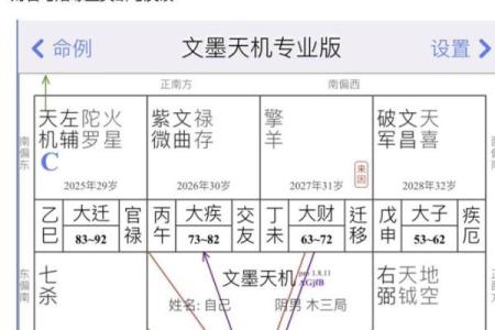 紫微斗数实战 紫微斗数实战案例？