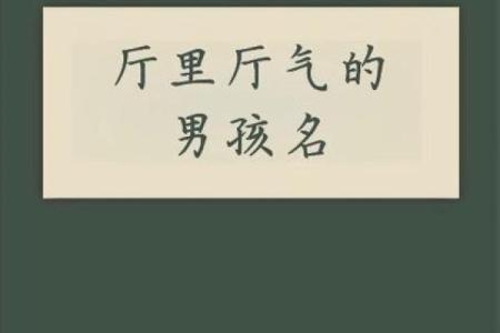 如何给属蛇酉时出生的男孩起名，适合什么字姓名
