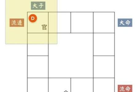 紫薇斗数看大限运势