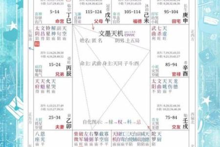 紫薇斗数贪狼