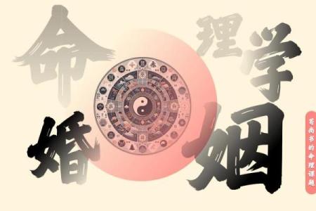 八字婚姻书籍