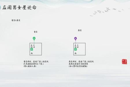 紫微斗数之斗数论命要旨