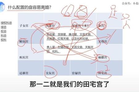 紫薇斗数离婚后怎么看再婚