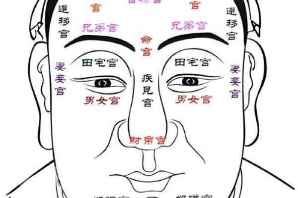 八字官禄宫怎么看婚姻
