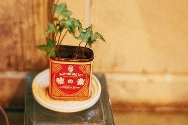 生日书算命