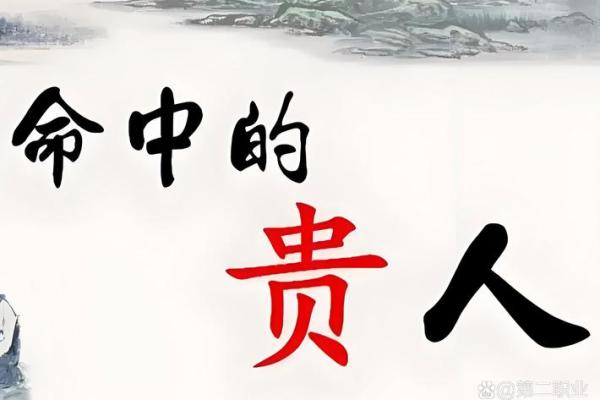八字有贵人