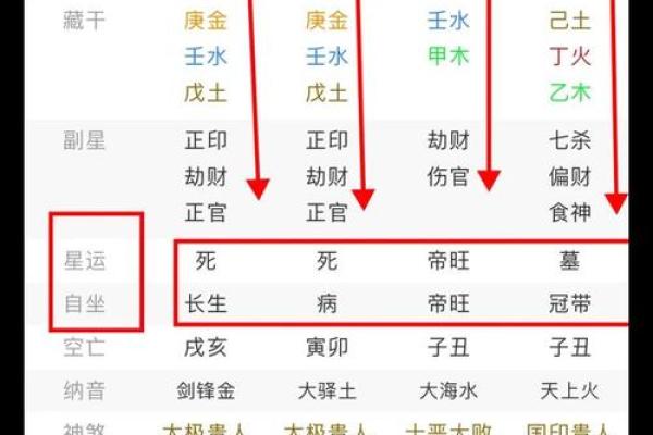 八字看主人长相