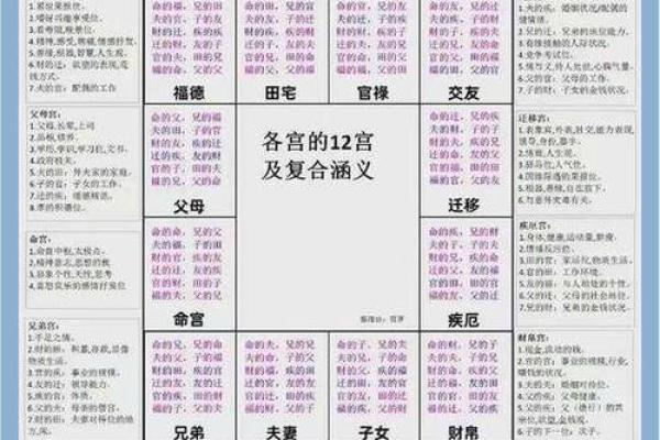 紫薇斗数天府星入十二宫