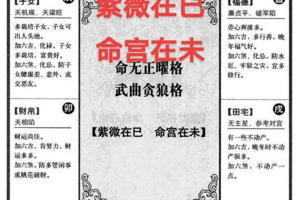 紫微斗数看美女 紫微斗数看美女格局？