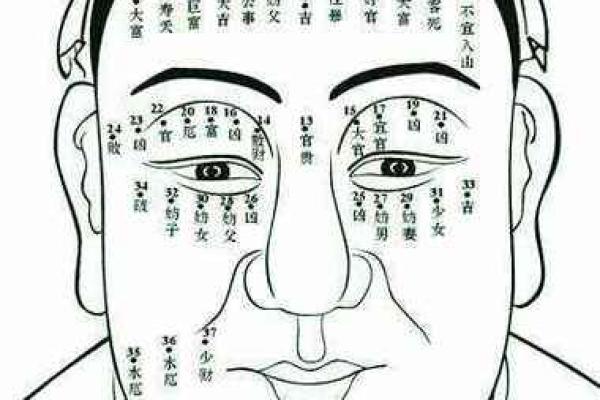 面相算命入门：五行与相貌