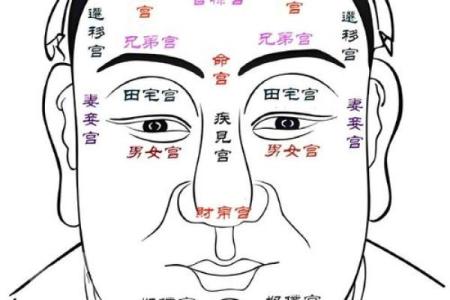 八字官禄宫怎么看婚姻
