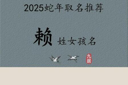 皮姓女孩名字大全-皮姓女孩起名字大全-皮姓名字大全姓名