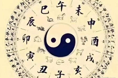 八字日干