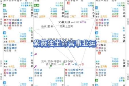 紫薇星入命宫，唐艺尹老师独家分析