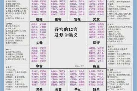 紫薇斗数天府星入十二宫