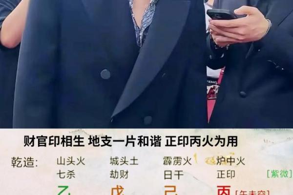 八字里的地支怎么论财官印