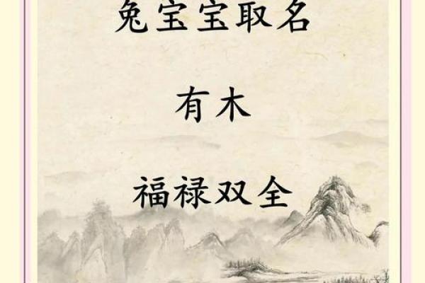 2019年4月3号卯时出生的男孩如何起名姓名