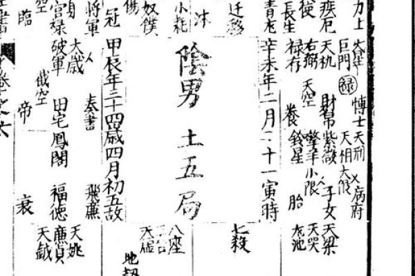 老鼠紫微斗数全书共几卷 老鼠 紫菀？