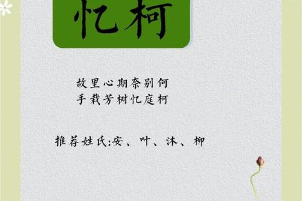 柯姓男孩名字大全-柯姓男孩起名字大全-柯姓名字大全姓名