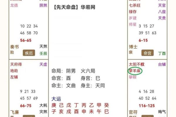 紫薇斗数领导