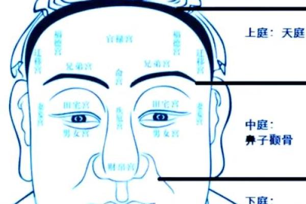 人脸算命