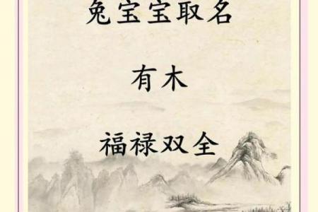 2019年4月3号卯时出生的男孩如何起名姓名