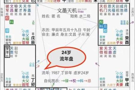 流年紫薇斗数怀孕