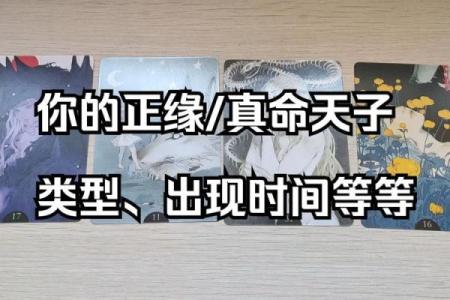 超准塔罗测试  你心目中的真命天子特征