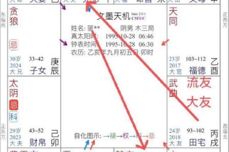 紫薇斗数事业怎么看