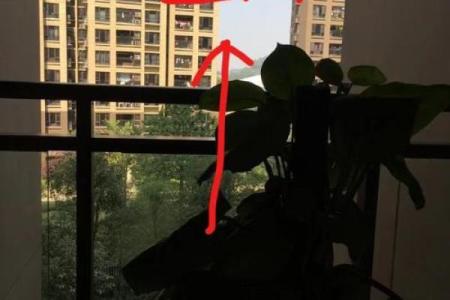 盖房子挖了我家墙角风水