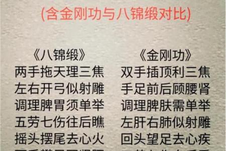 金口诀和八字哪个好学