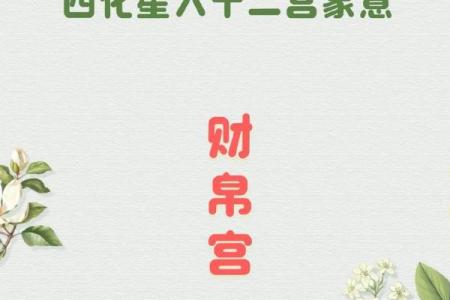 紫薇斗数知识资源
