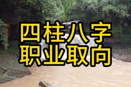 八字预测职业