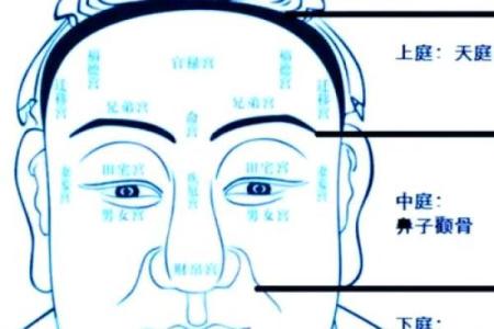 人脸算命
