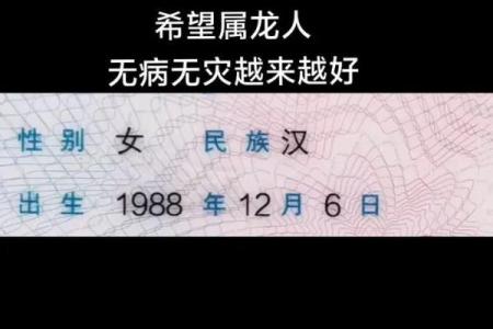 农历1988年月龙算命
