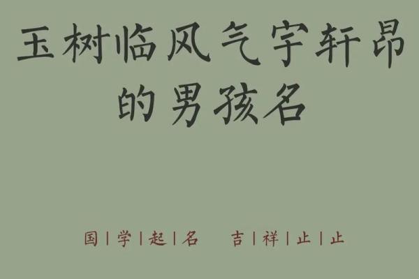2019年3月27号巳时出生的男孩应该起什么样的名字姓名