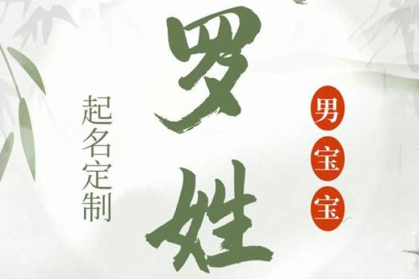 罗姓男孩名字大全-罗姓男孩起名字大全-罗姓名字大全姓名