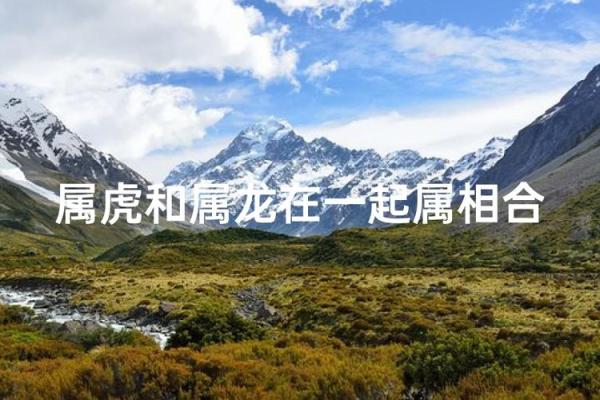 八字合婚虎男和什么生肖蕞配