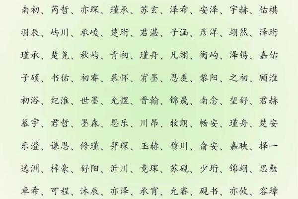 2019年6月30号子时出生的男孩起名方法姓名