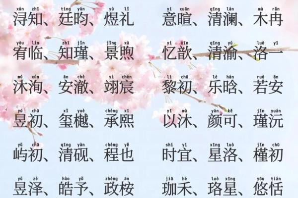 2019年6月30号子时出生的男孩起名方法姓名