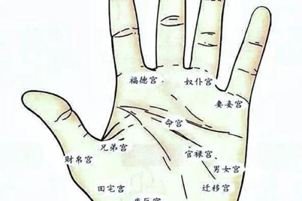 手掌算命男左女右