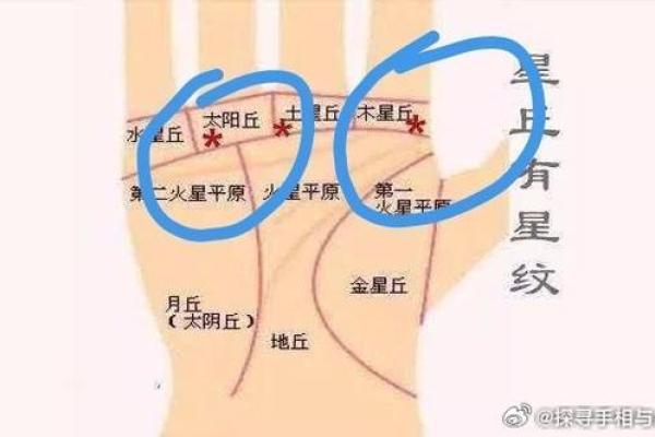 手掌算命男左女右