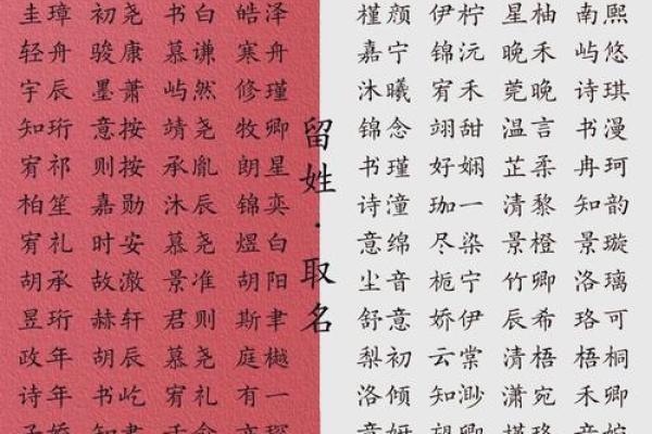 宝宝名字手机打分测试
