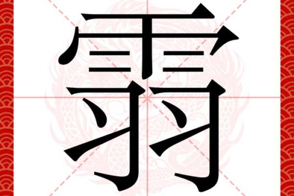 羽的八字
