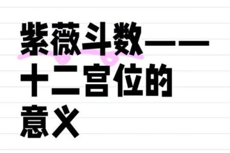 紫薇斗数12宮