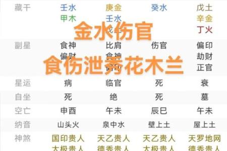 八字有食伤和伤官的男命