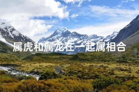八字合婚虎男和什么生肖蕞配