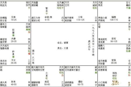 紫薇斗数明日运势