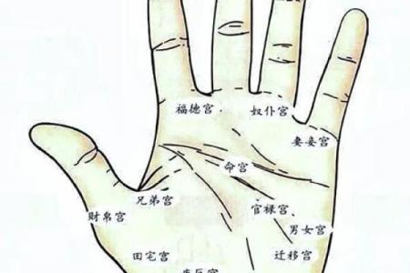 手掌算命男左女右
