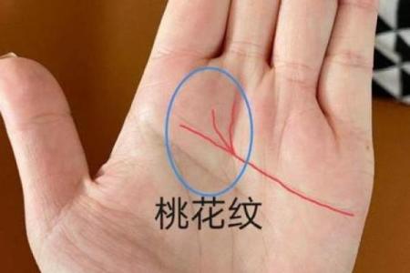 手相算命总论 手相算命大揭秘